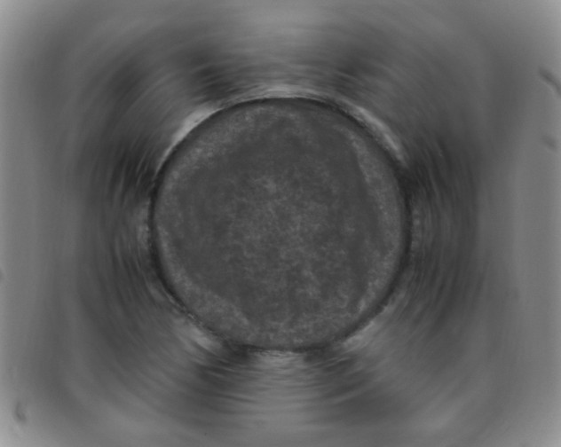 X0000097501170200803142013