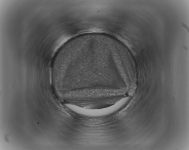 X0000097501171200803142013