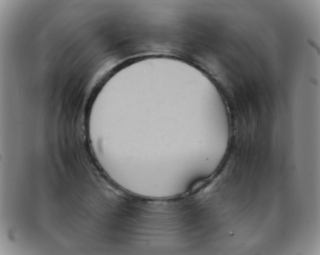 X0000097501172200803142013