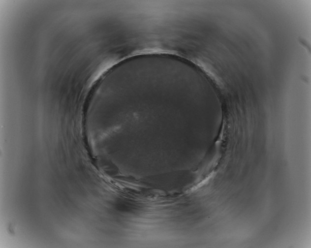 X0000097501173200803142013