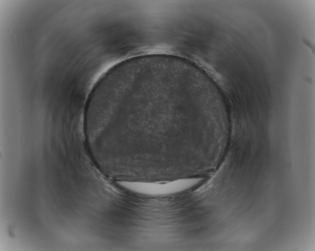 X0000097501174200803142013