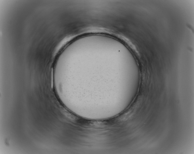 X0000097501175200803142013