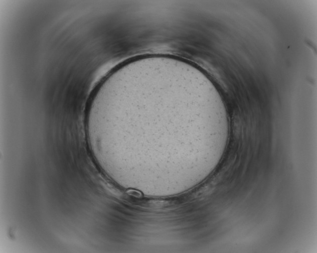 X0000097501176200803142013