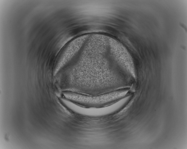 X0000097501177200803142013