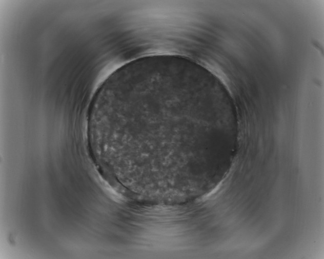 X0000097501179200803142013