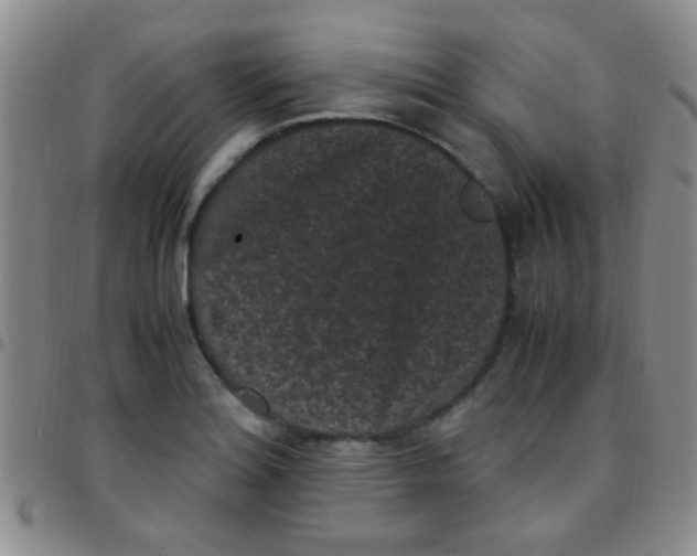 X0000097501180200803142013