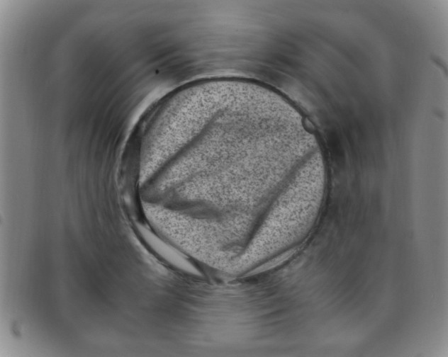 X0000097501181200803142013