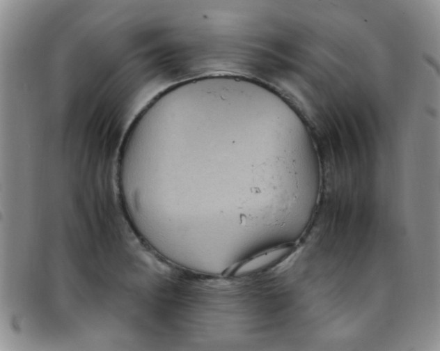 X0000097501182200803142013