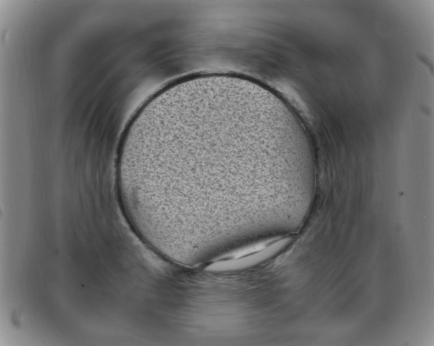 X0000097501183200803142013