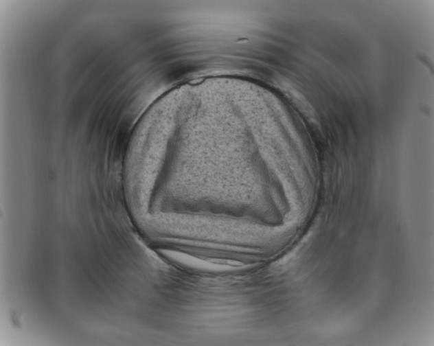 X0000097501185200803142013