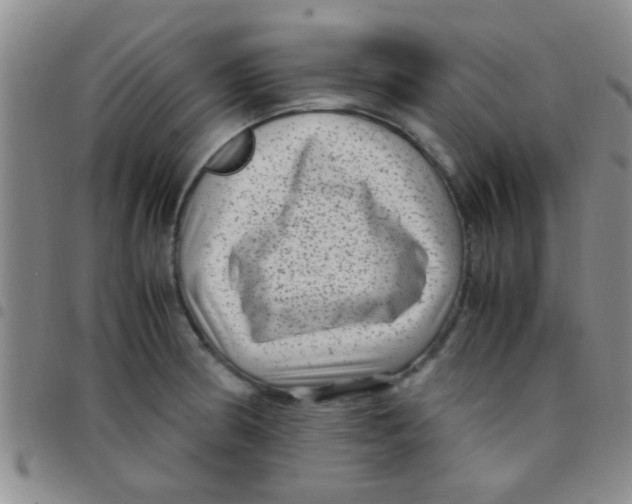 X0000097501186200803142013