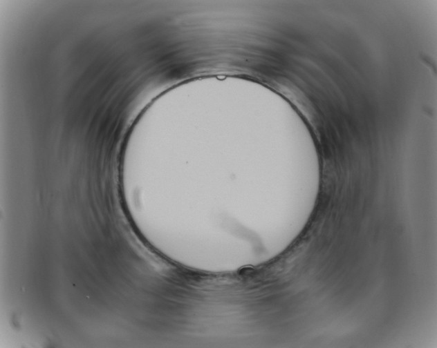 X0000097501187200803142013