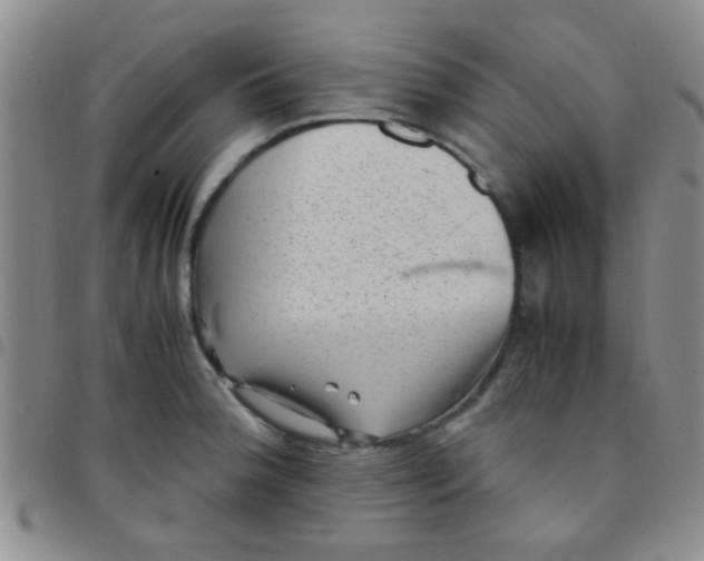 X0000097501188200803142013