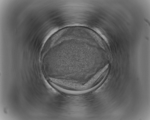 X0000097501189200803142013