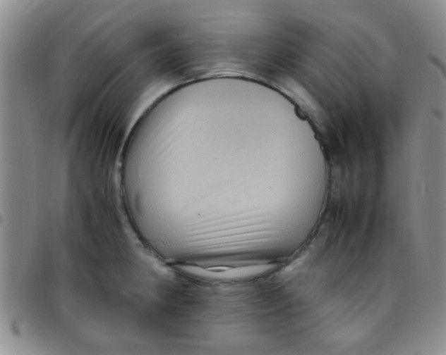 X0000097501190200803142013