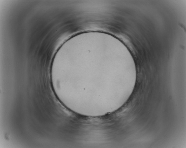 X0000097501191200803142013