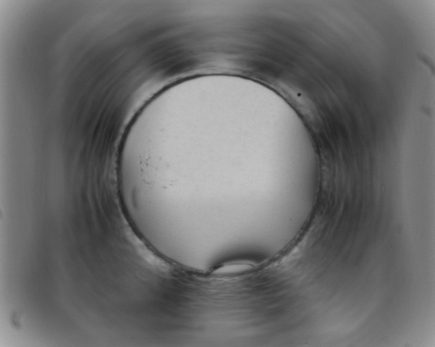 X0000097501192200803142013