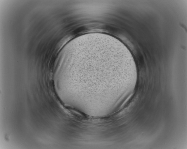 X0000097501193200803142013