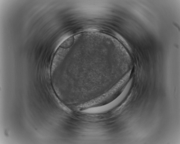 X0000097501194200803142013