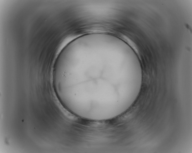 X0000097501195200803142013