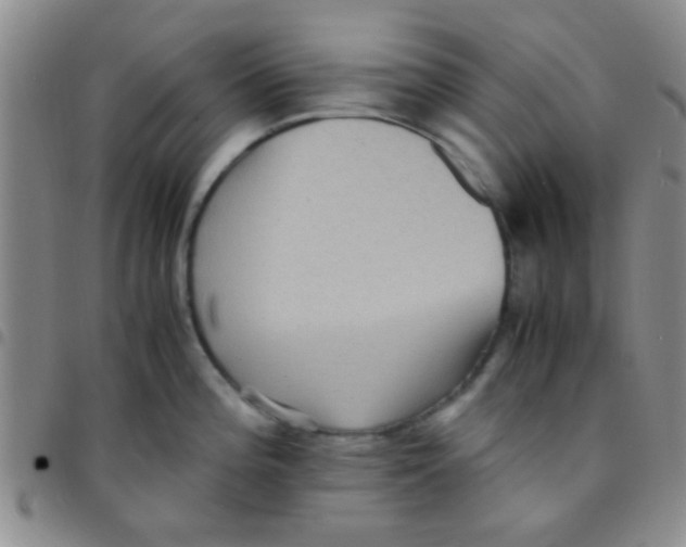 X0000097501196200803142013