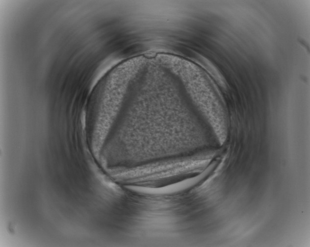 X0000097501198200803142012