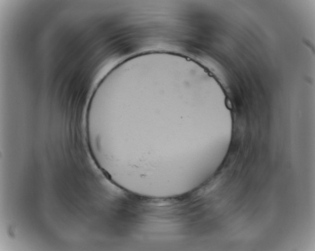 X0000097501199200803142012