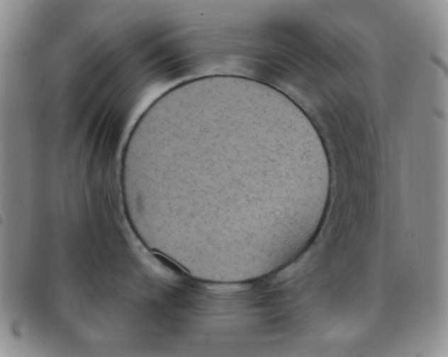 X0000097501200200803142012