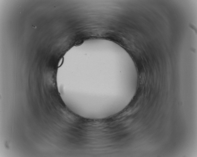 X0000097501202200803142012