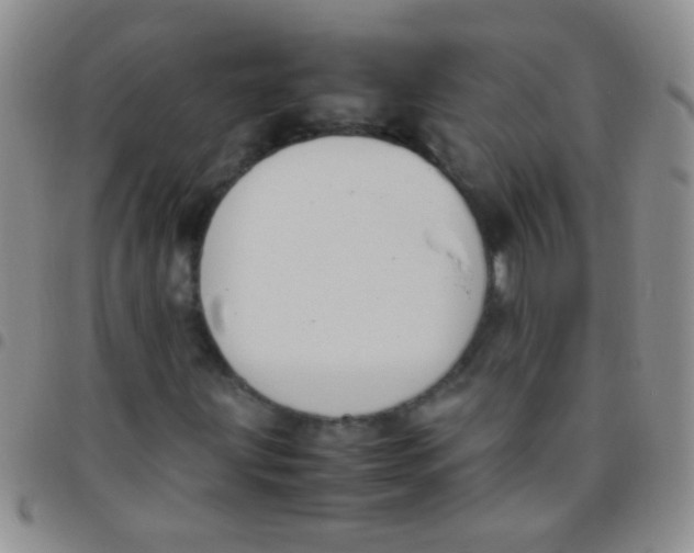 X0000097501203200803142012