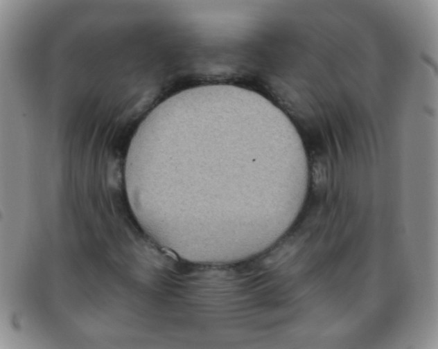 X0000097501204200803142012