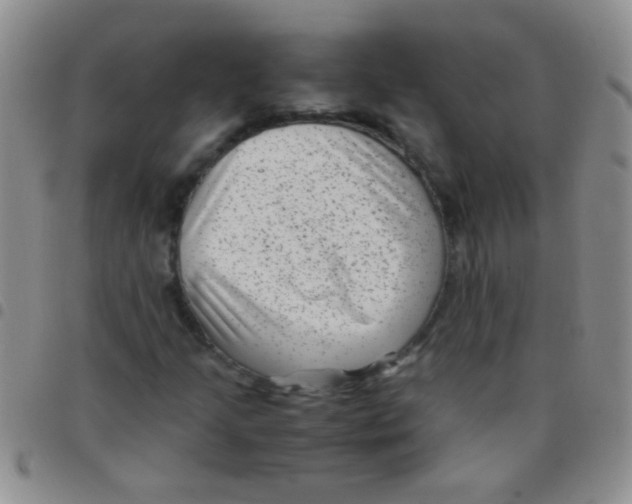 X0000097501205200803142012