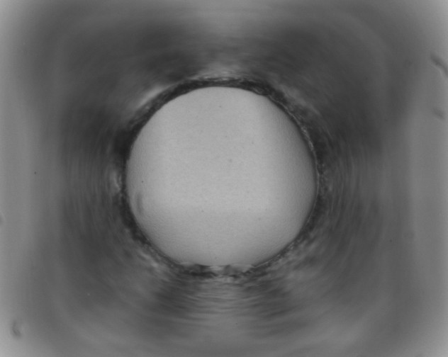 X0000097501206200803142012