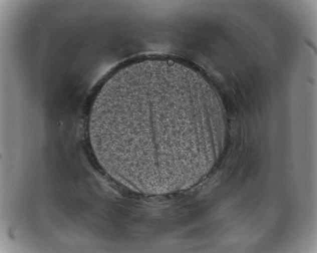 X0000097501208200803142012