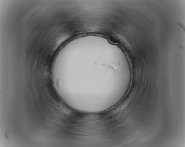 X0000097501210200803142012