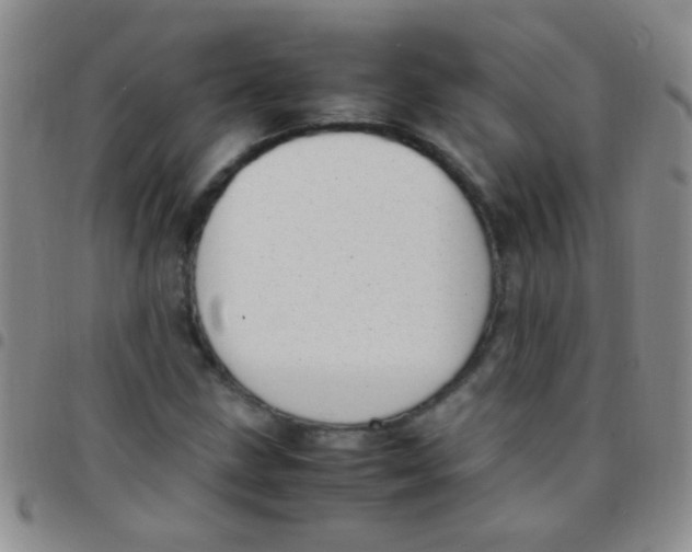 X0000097501211200803142012