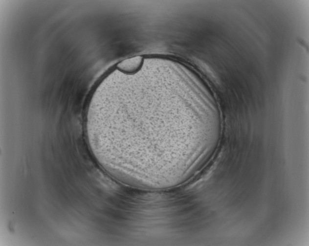 X0000097501212200803142012