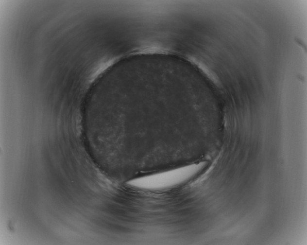 X0000097501213200803142012