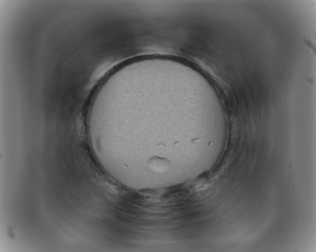 X0000097501215200803142012