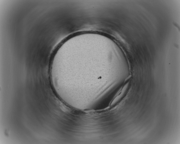 X0000097501216200803142012