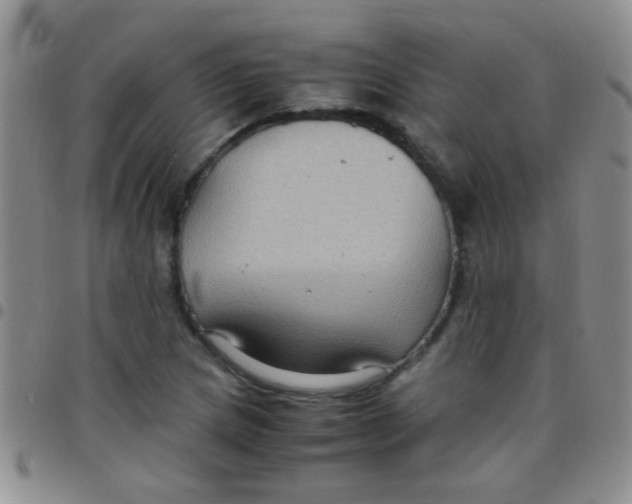 X0000097501217200803142012