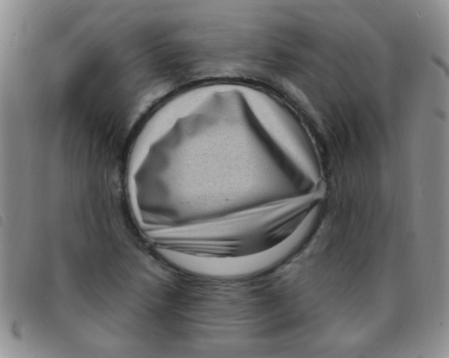 X0000097501218200803142012