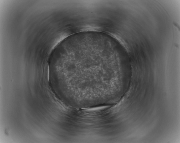 X0000097501219200803142012