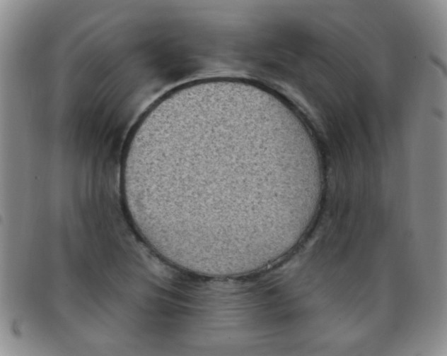 X0000097501220200803142012