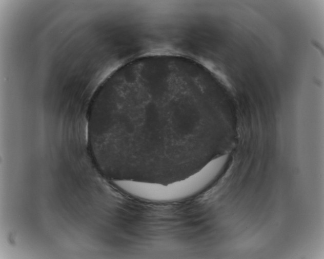 X0000097501221200803142012