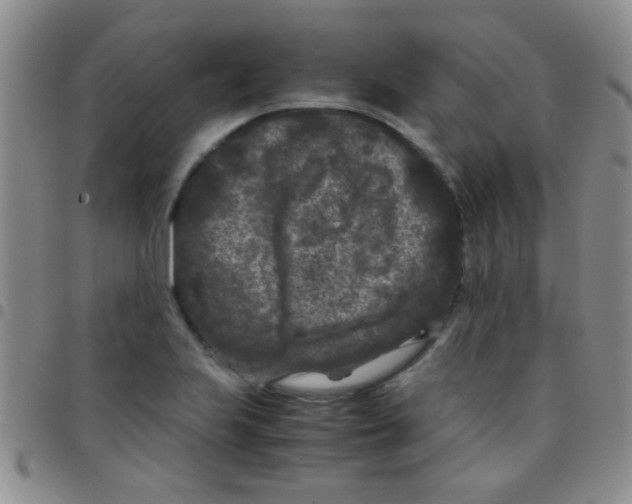 X0000097501223200803142012