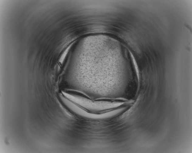 X0000097501225200803142012