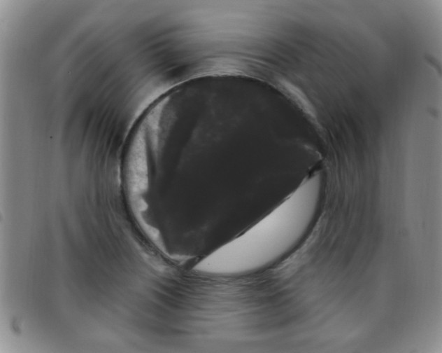 X0000097501226200803142012