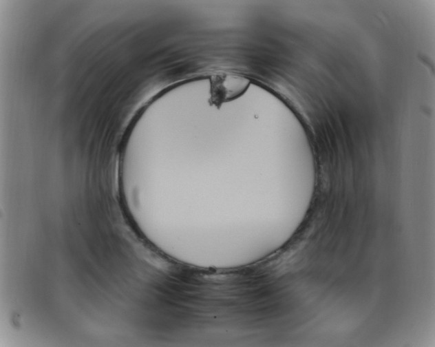 X0000097501227200803142012