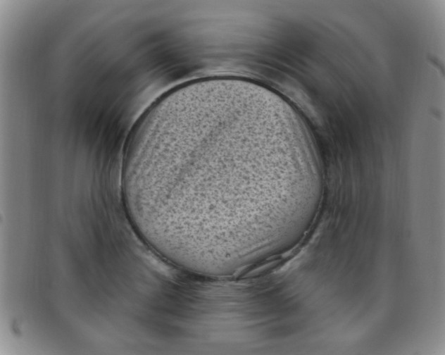 X0000097501228200803142012